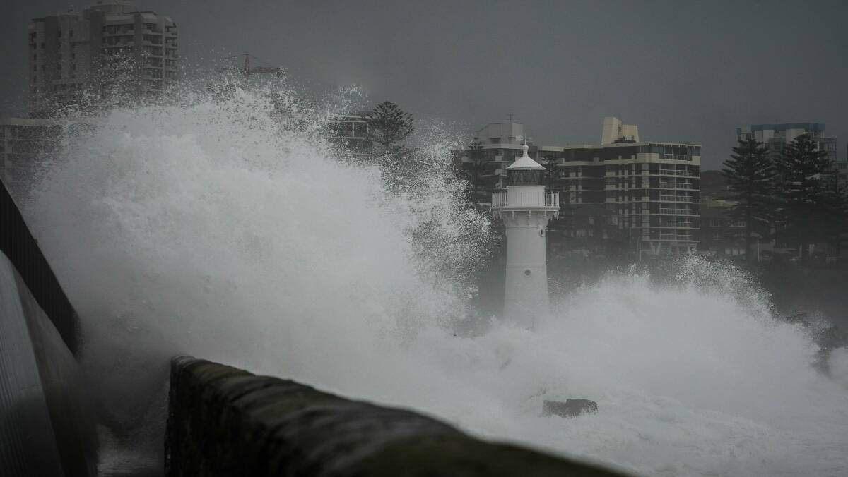 GALLERY: January: the month in wild weather