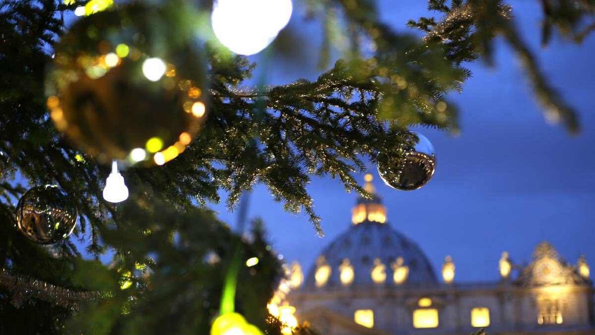 The Vatican Christmas tree in St Peters Square.  Picture: REUTERS