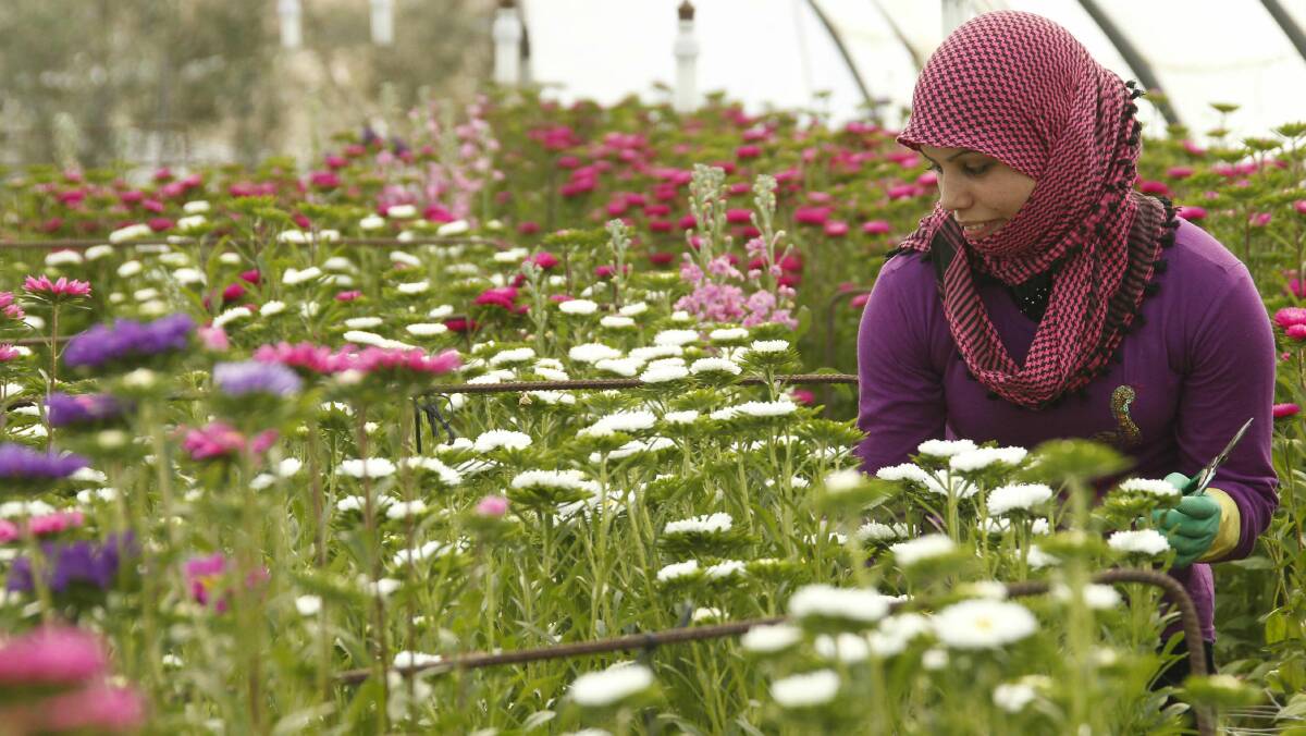 A Syrian woman living in Lebanon prepares to sell flowers for International Women's Day. Picture: REUTERS