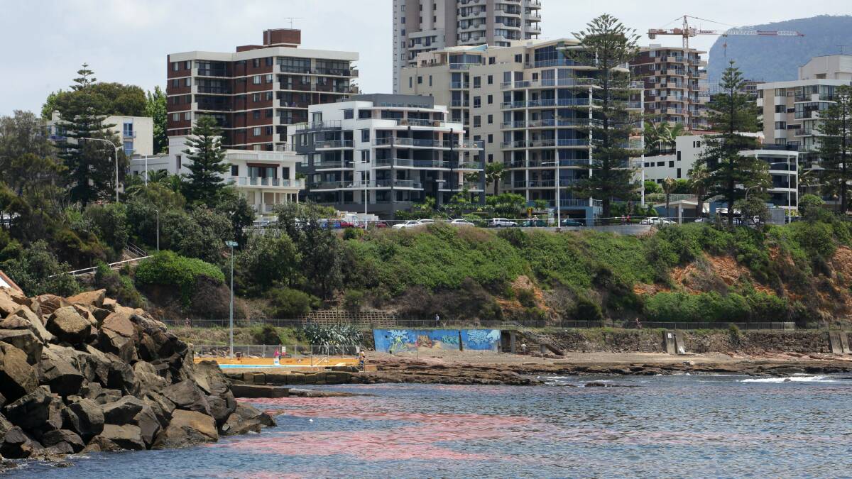 Illawarra beaches turn red on a tide of algae