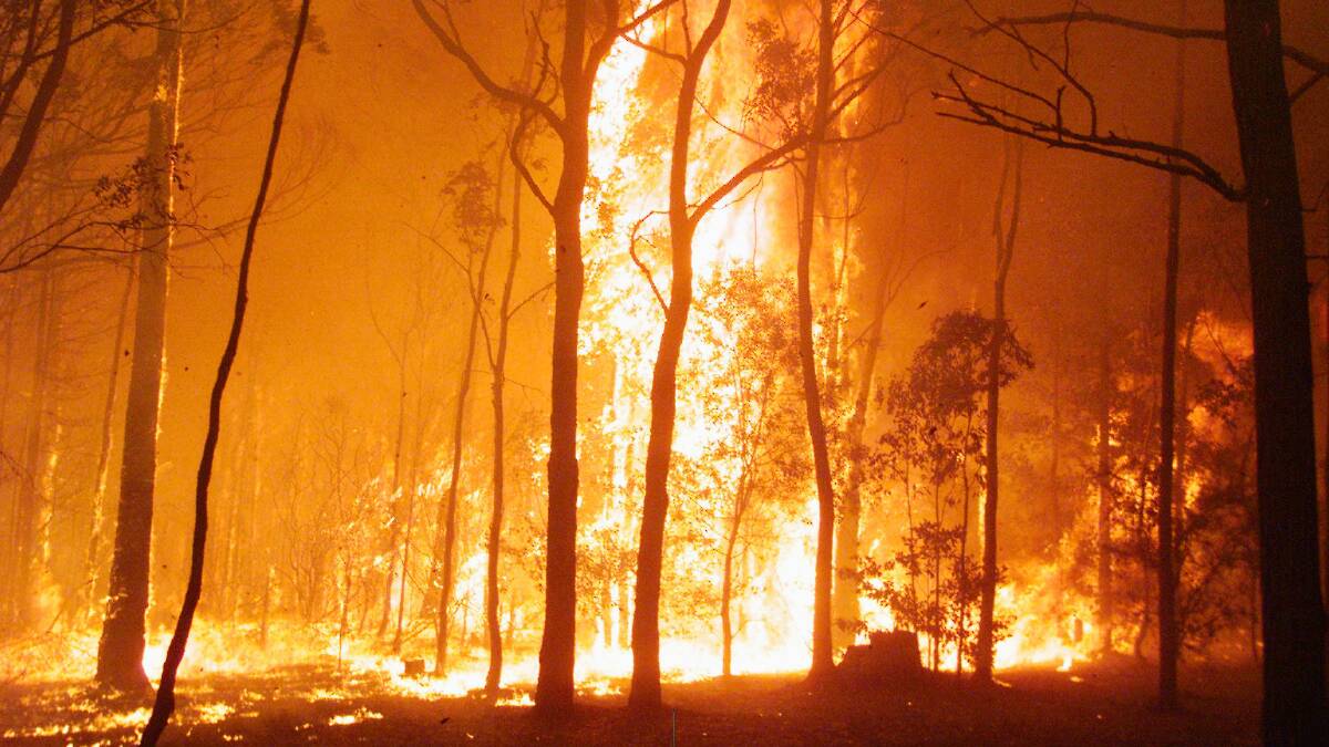 A bushfire burns out of control on Sussex Inlet Road in 2002. Picture: ORLANDO CHIODO