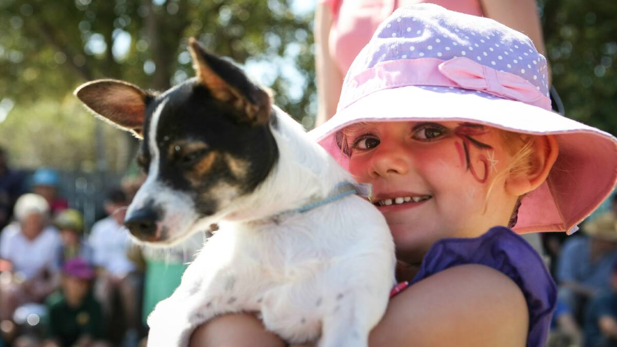 Molly Little, 4, with her puppy Logan. 