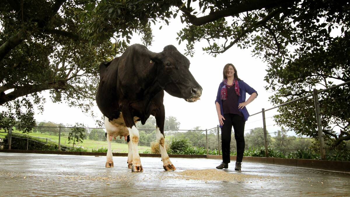 Jamberoo dairy farmer Lynne Strong. 