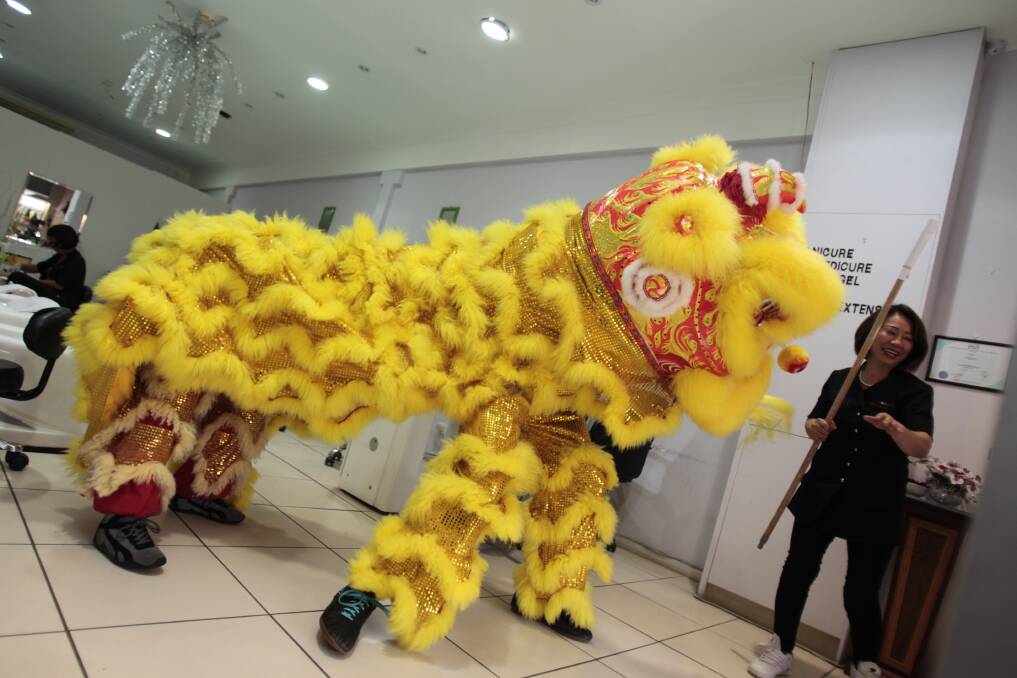 Lion dancing in Crown Street as part of Chinese New Year celebrations in Wollongong. Picture: CHRISTOPHER CHAN