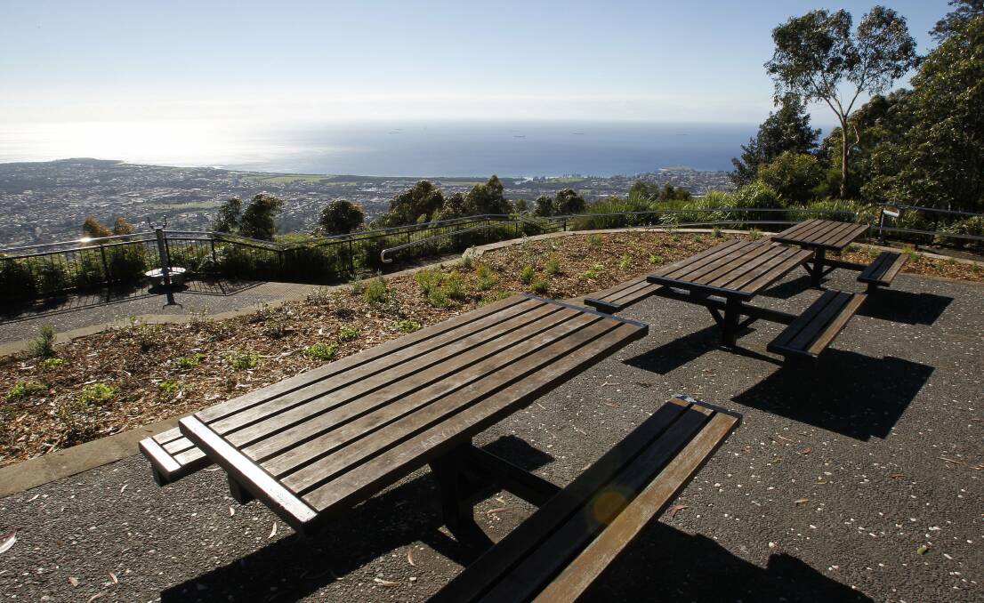 The views from Mt Keira lookout after a recent clean up of overgrown bush. Pictures: ANDY ZAKELI
