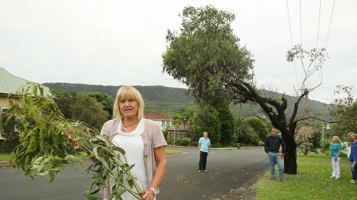 Cathie Milander and her neighbours with the ‘‘lopsided and unbalanced’’ tree in front of her house. Picture: KIRK GILMOUR