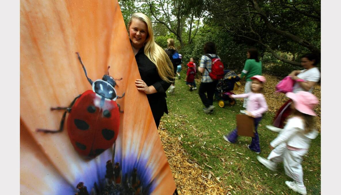 Photographer Jane Davenport's exhibition at Wollongong's Botanic Garden shows the vivid world of insects.
