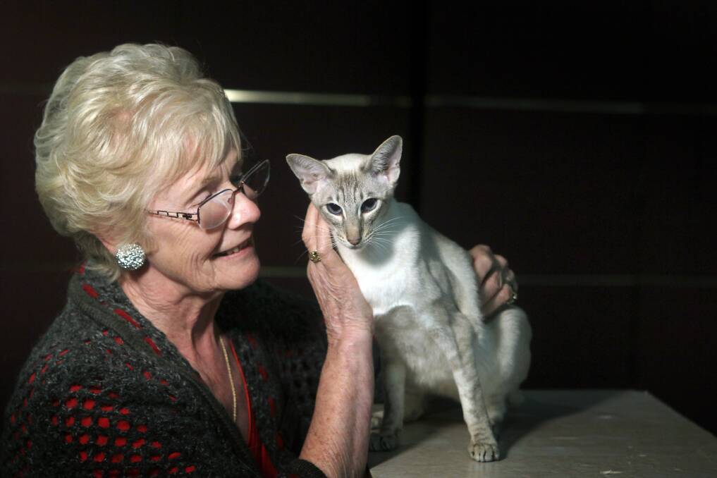 Bambi Edwards with Star the blue Siamese tabby.
