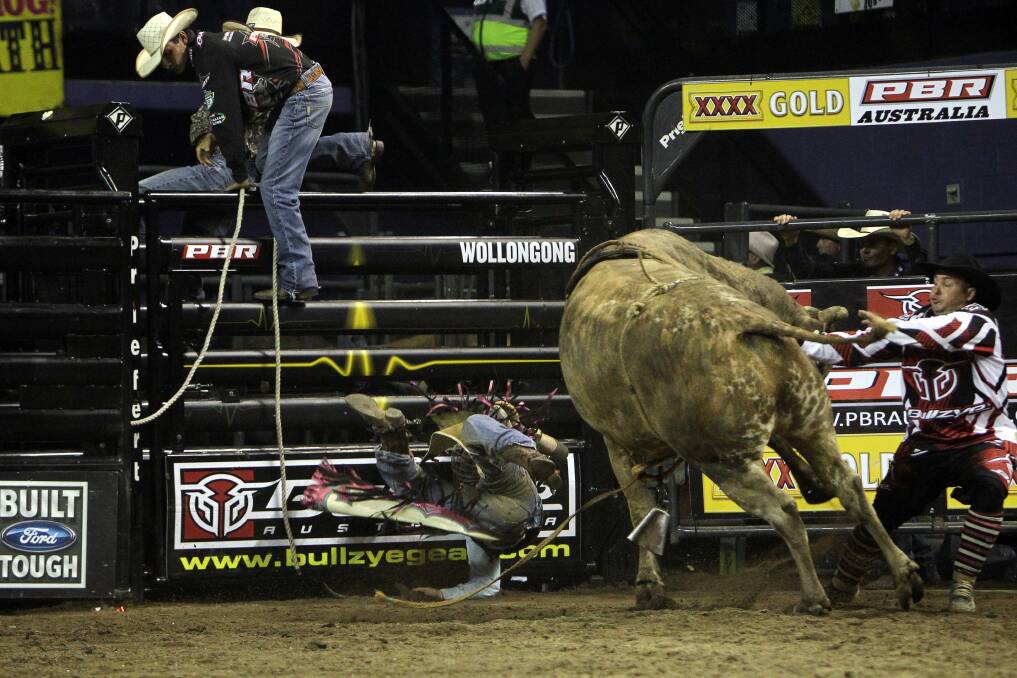 Matt Boland and the bull who bucked him off. Picture: SYLVIA LIBER