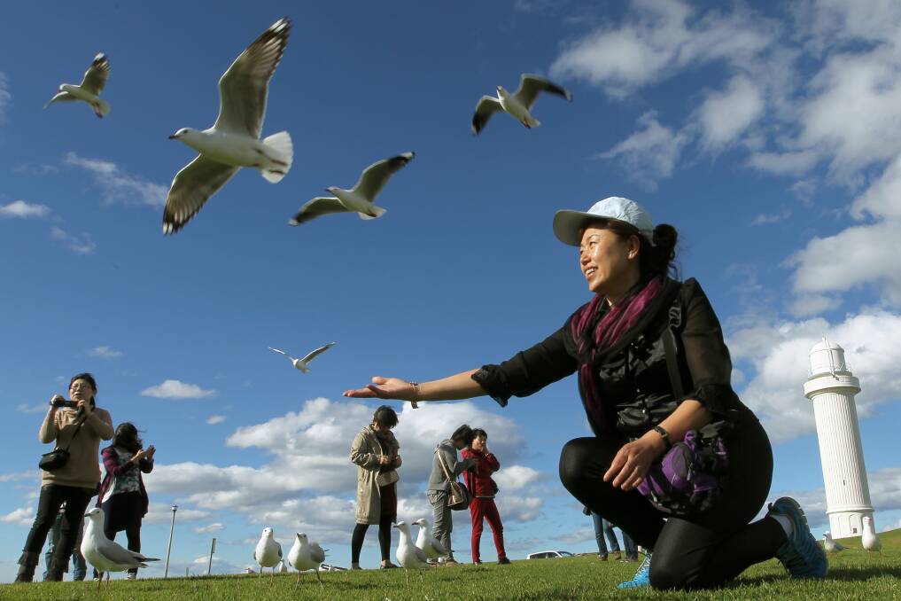Chinese tourist Yan Ling Li at Flagstaff Hill, Pictures: SYLVIA LIBER