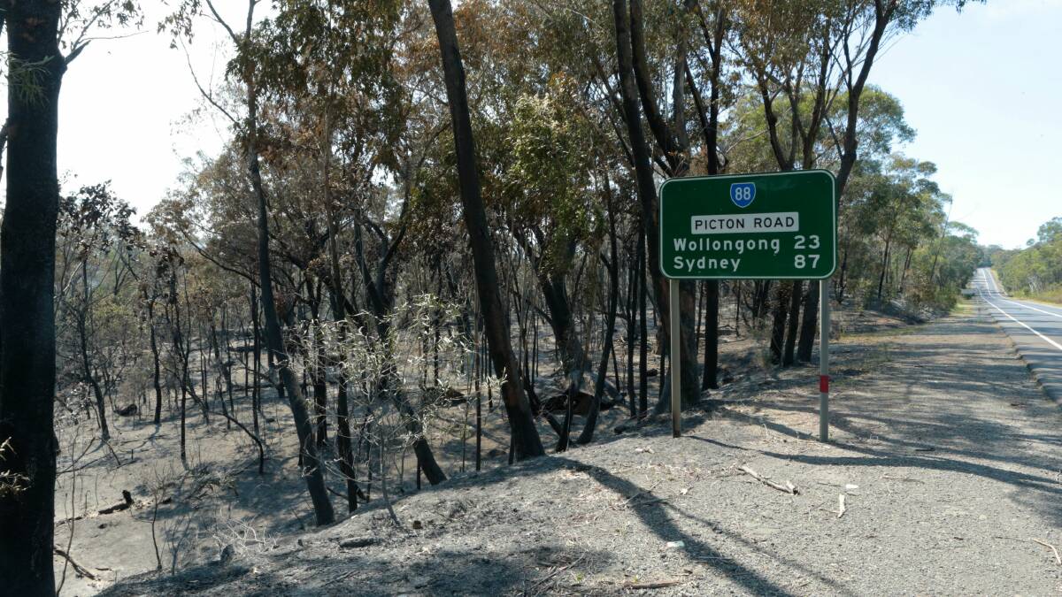 Damage to bushland near the Cordeaux Dam turn-off on Picton Road. Picture: ADAM McLEAN