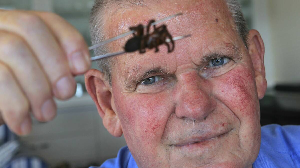 Arachnologist Graham Wishart. Picture: ORLANDO CHIODO
