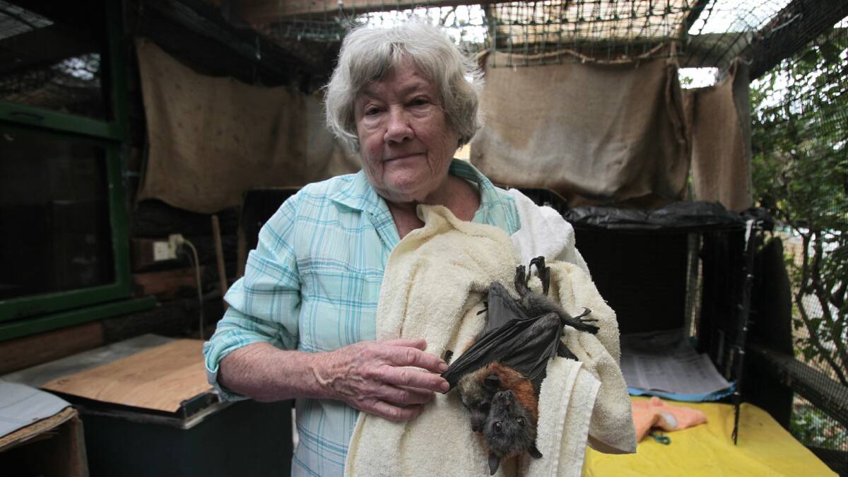 Sandra Leonard has given over much of her backyard to injured flying foxes. Picture: CHRISTOPHER CHAN