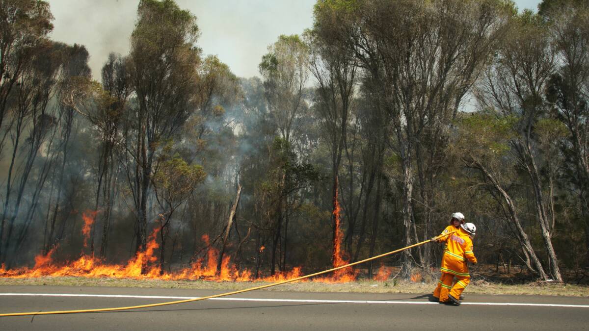 An RFS member putting out a spot fire on the side of Picton Road. Picture: ADAM McLEAN