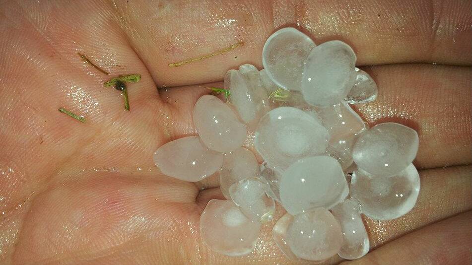 Hail at Barrack Heights. Picture: KAREN LOACH