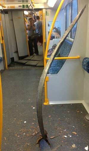 A metal pole sticks through the carriage floor. Photo: Annie Dang