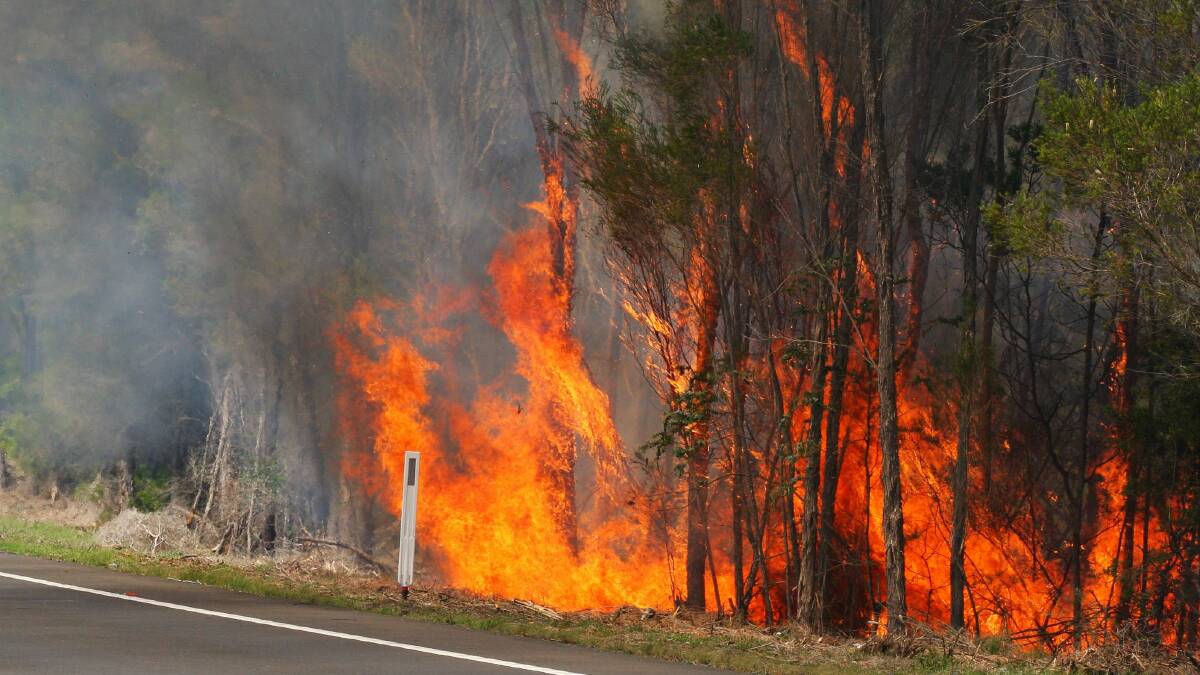 A spot fire on the side of Picton Road. Picture: ADAM McLEAN
