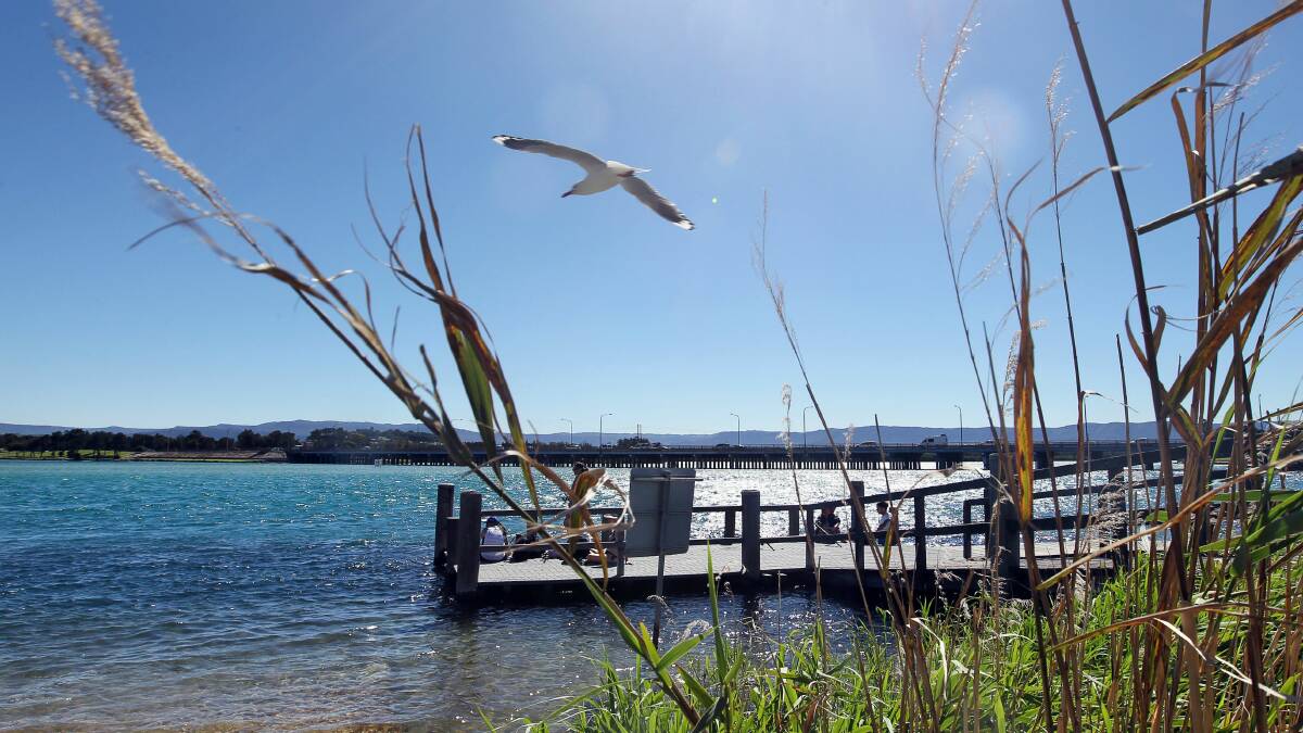 MP Anna Watson says a decision has to be made about the management of Lake Illawarra.