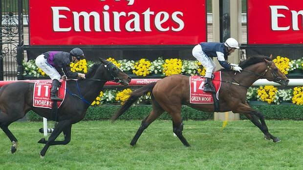 Green Moon Rising, winner of the 2012 Melbourne Cup. Picture: Jason South